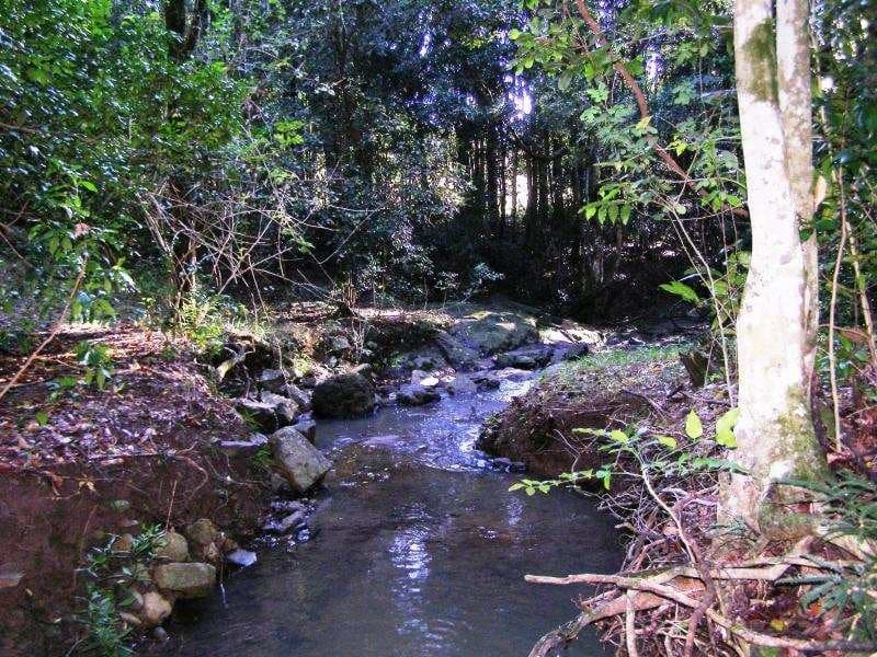 125 SHURVELL ROAD, Palmwoods - Thumbnail 7