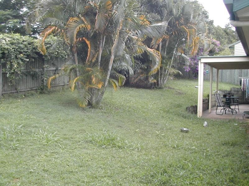 16 Camelia Court, Palmwoods, Palmwoods - Thumbnail 3