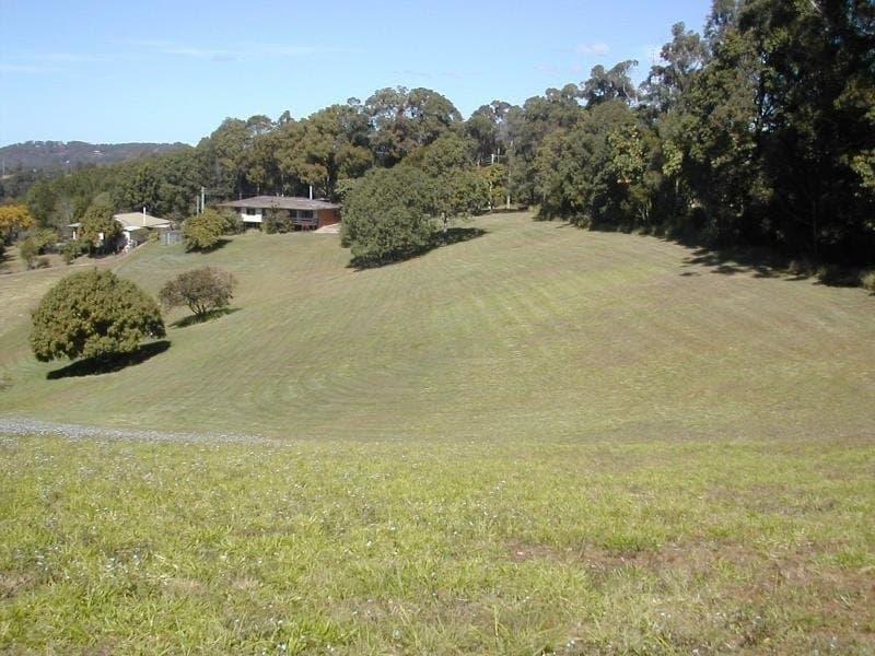 90-110 Woombye Palmwoods Rd, Palmwoods, Palmwoods - Image 1