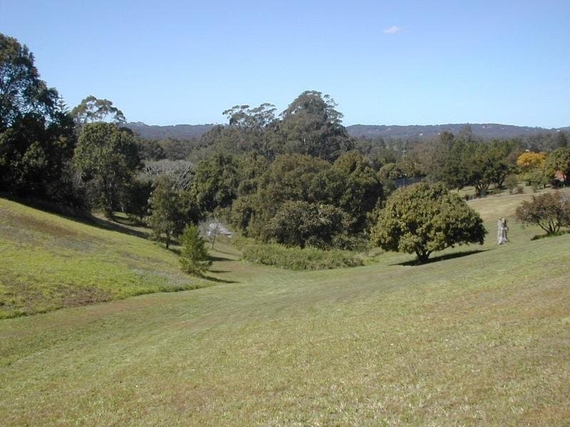 90-110 Woombye Palmwoods Rd, Palmwoods, Palmwoods - Thumbnail 2