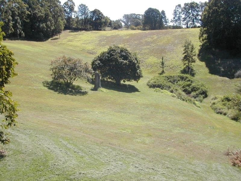 90-110 Woombye Palmwoods Rd, Palmwoods, Palmwoods - Thumbnail 5