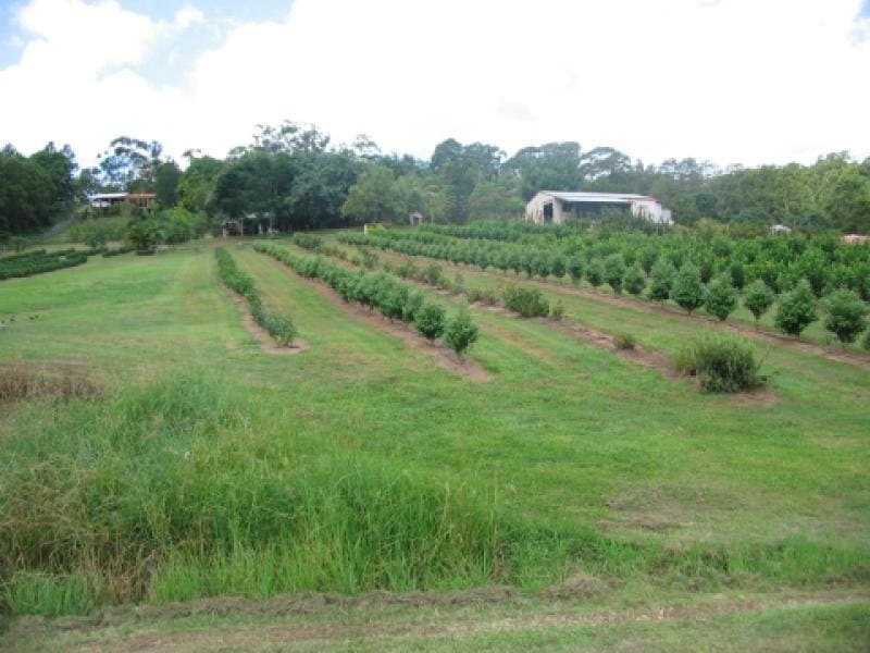 149 Woombye Palmwoods Road, Palmwoods, Palmwoods - Thumbnail 6