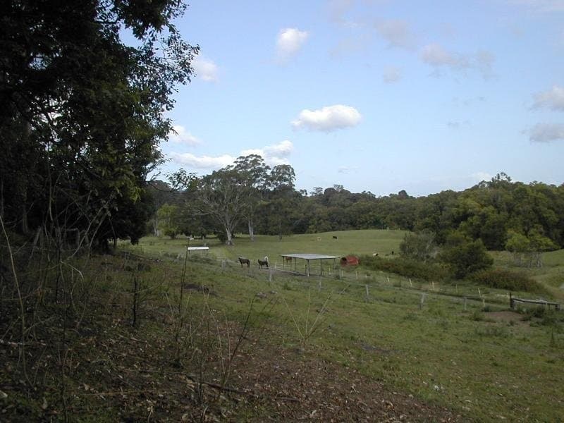 Lot , 80 Mooloolah-Eudlo Road, Mooloolah Valley - Thumbnail 2
