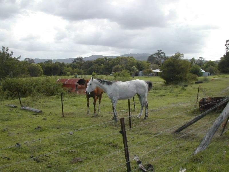 Lot , 80 Mooloolah-Eudlo Road, Mooloolah Valley - Thumbnail 5