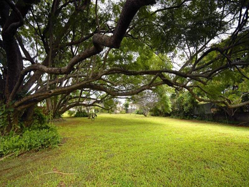 18 Wilson Avenue, Woombye, Woombye - Thumbnail 3