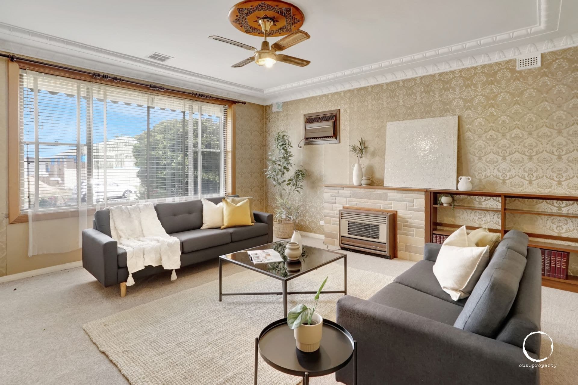3 Allan Street, Royal Park - Thumbnail 3