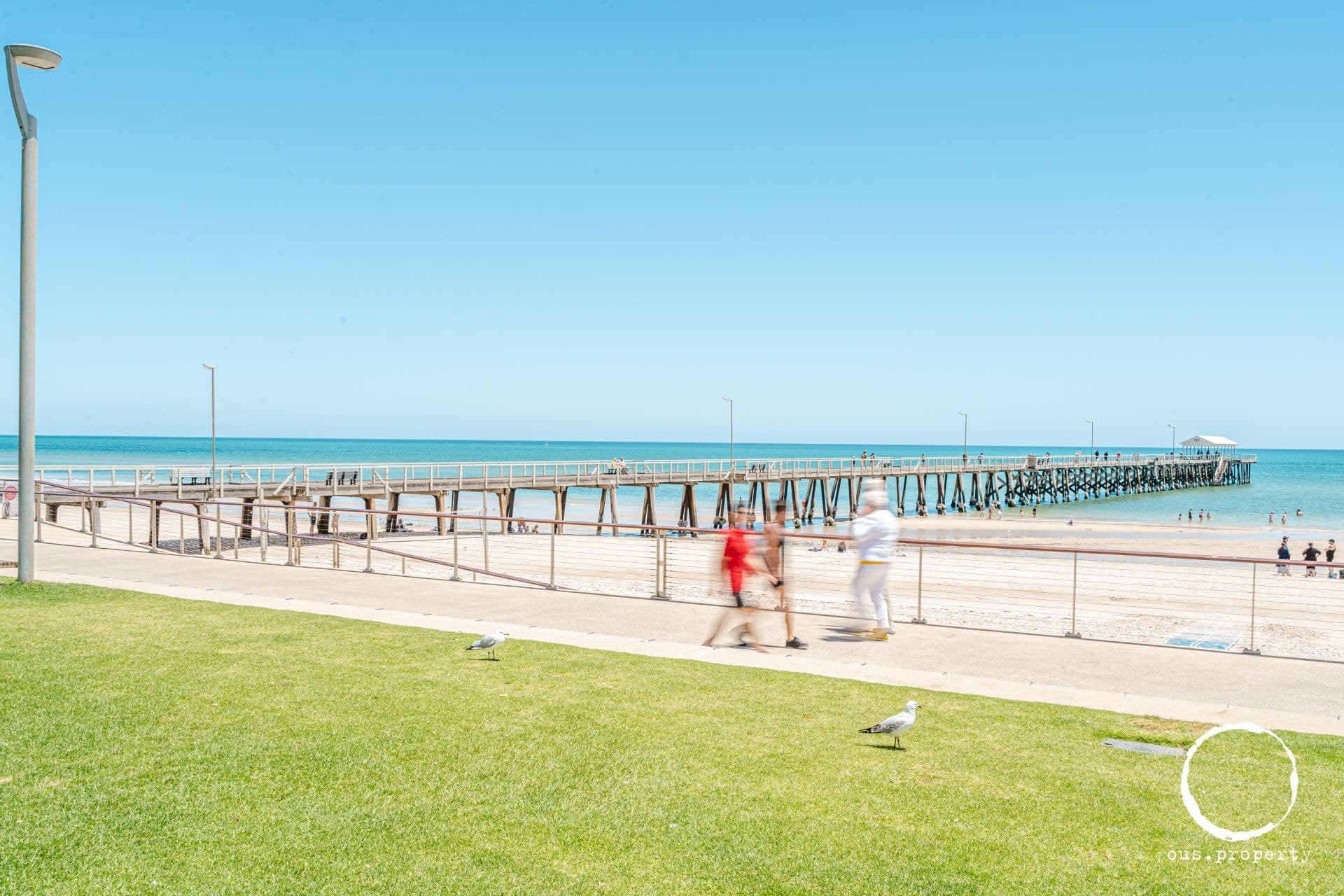 11 Thornton Street, Henley Beach South - Thumbnail 4