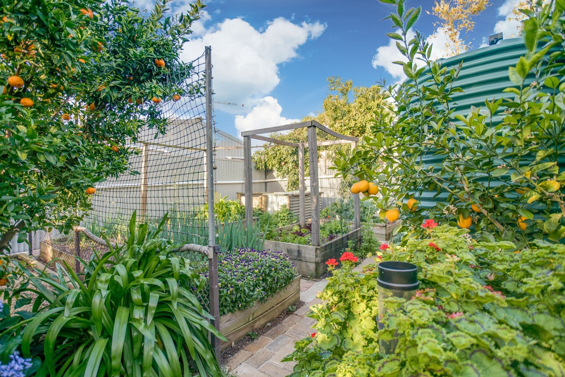 8 Glenhuntley Street, Woodville South - Image 1