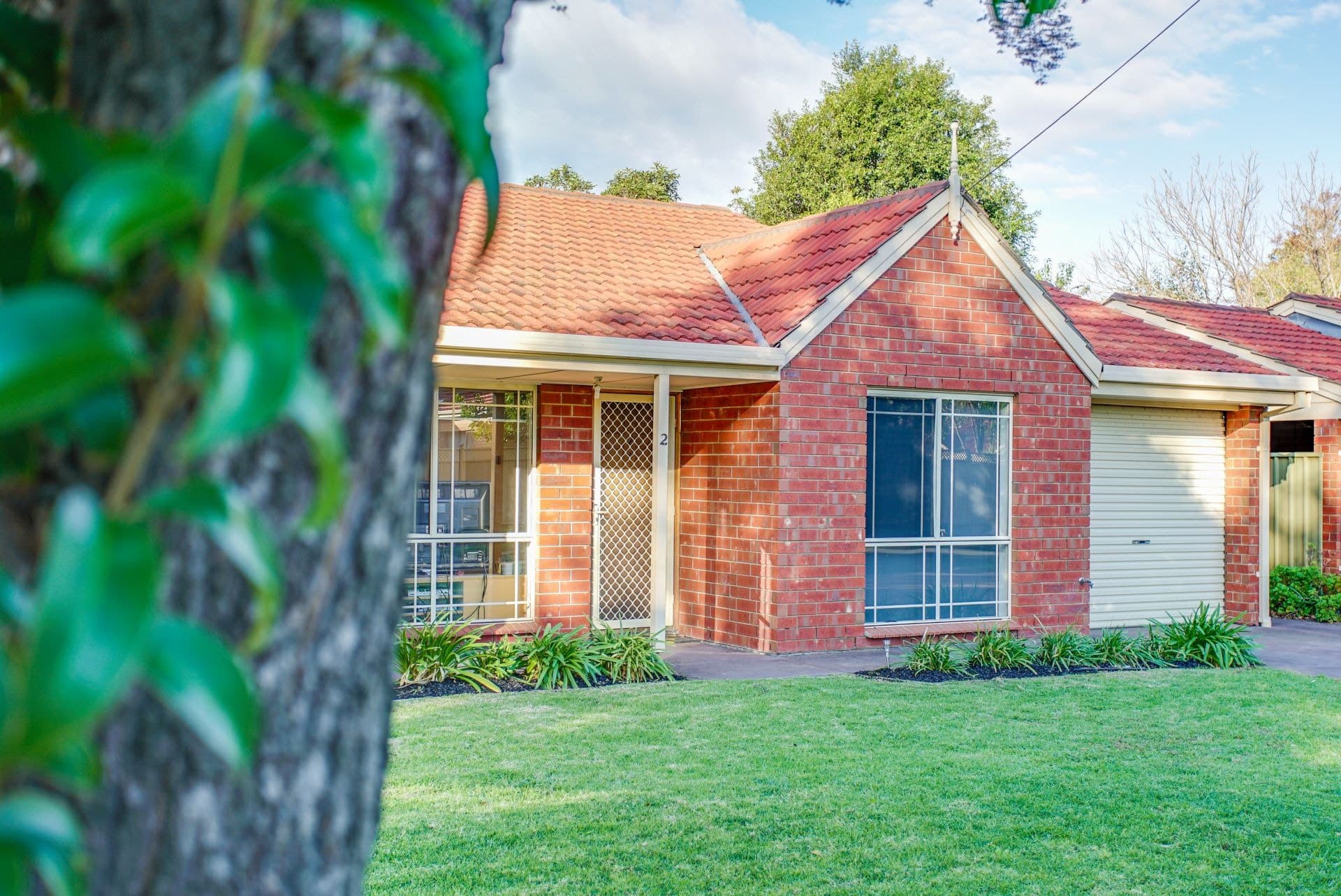 2/2 Fern Avenue, Lockleys, Lockleys - Image 1