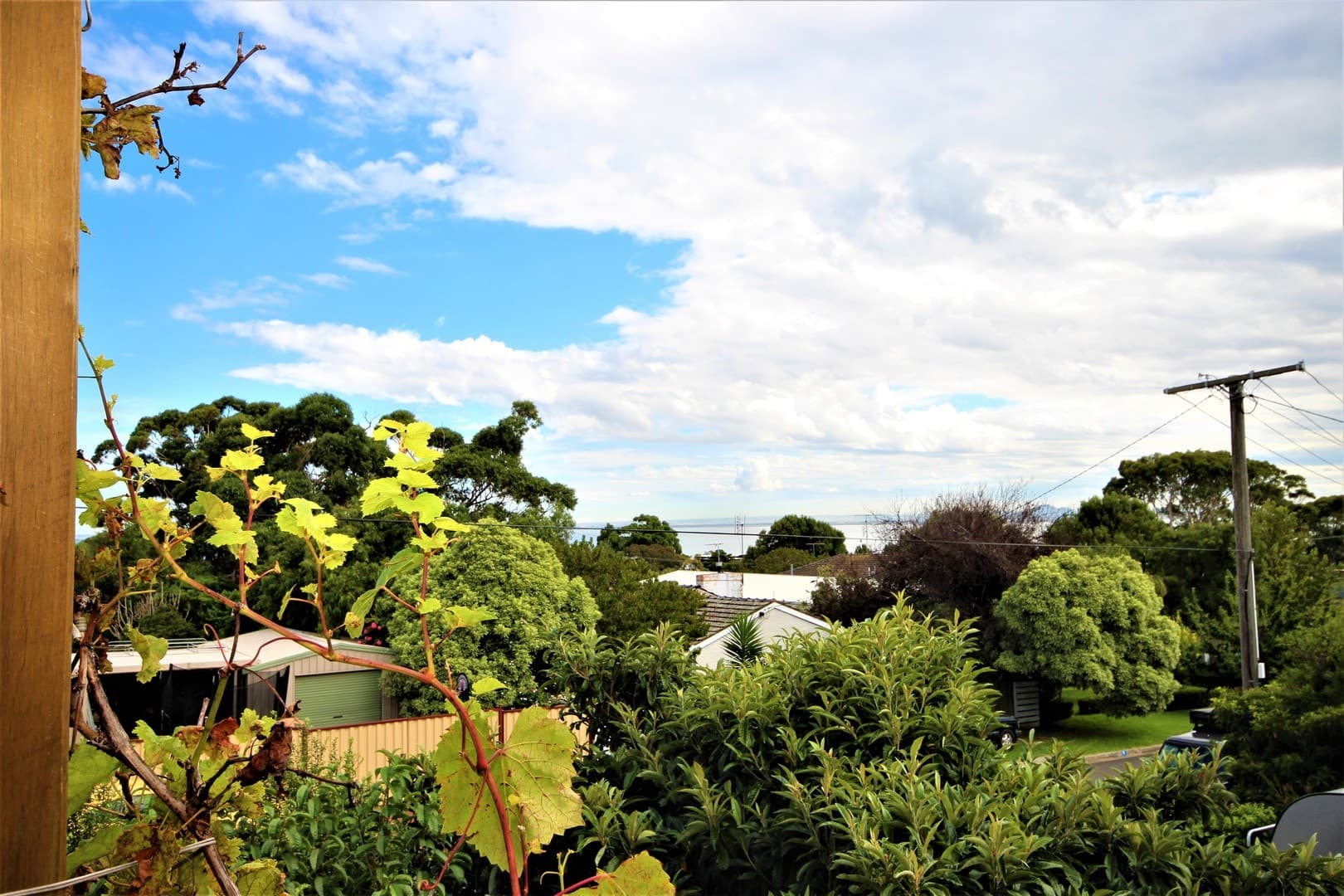 17 Bungalalli  Avenue, Clifton Springs, VIC 3222, Clifton Springs - Thumbnail 7