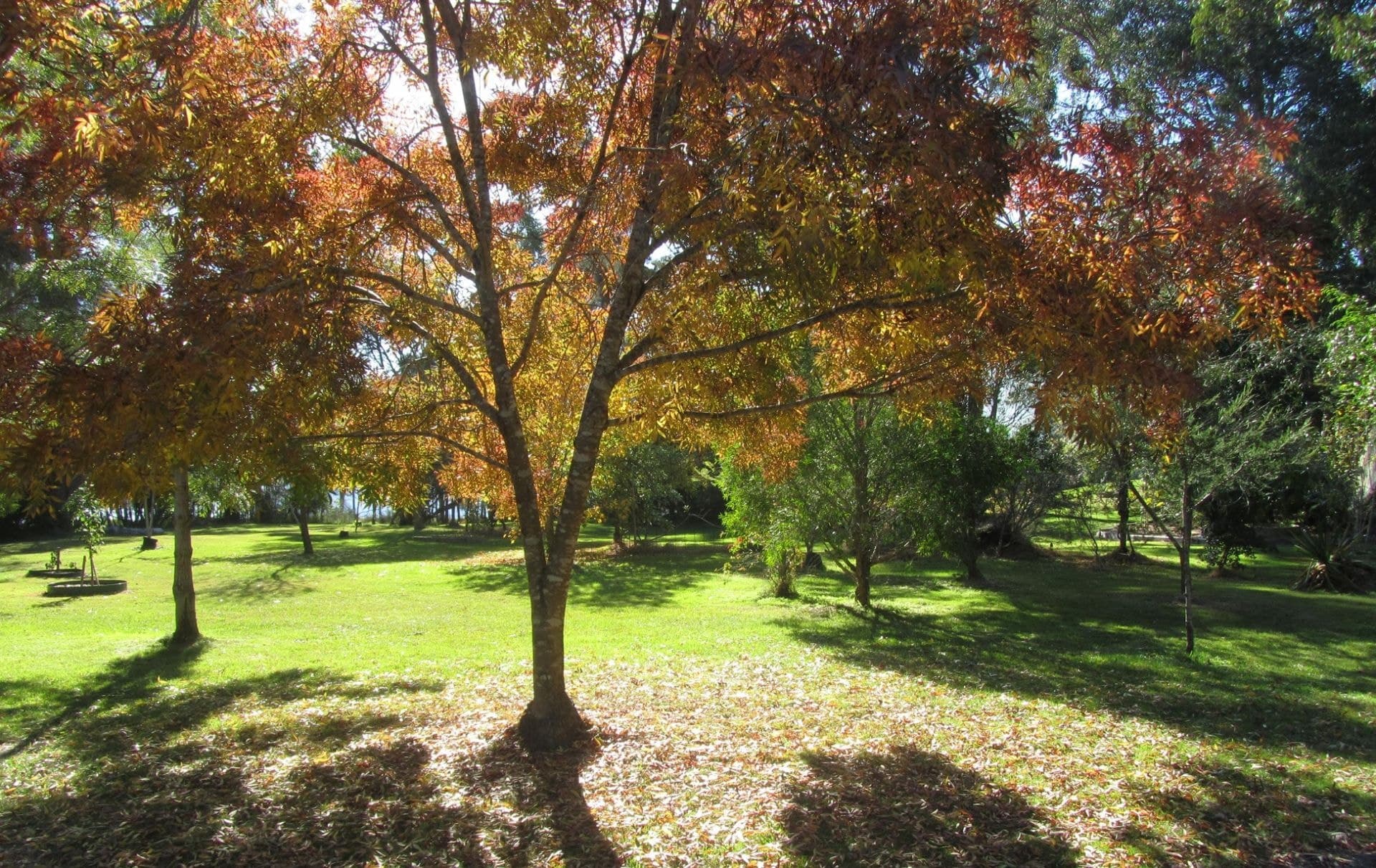10 Fairview Road Wallaga Lake NSW, Wallaga Lake - Image 1