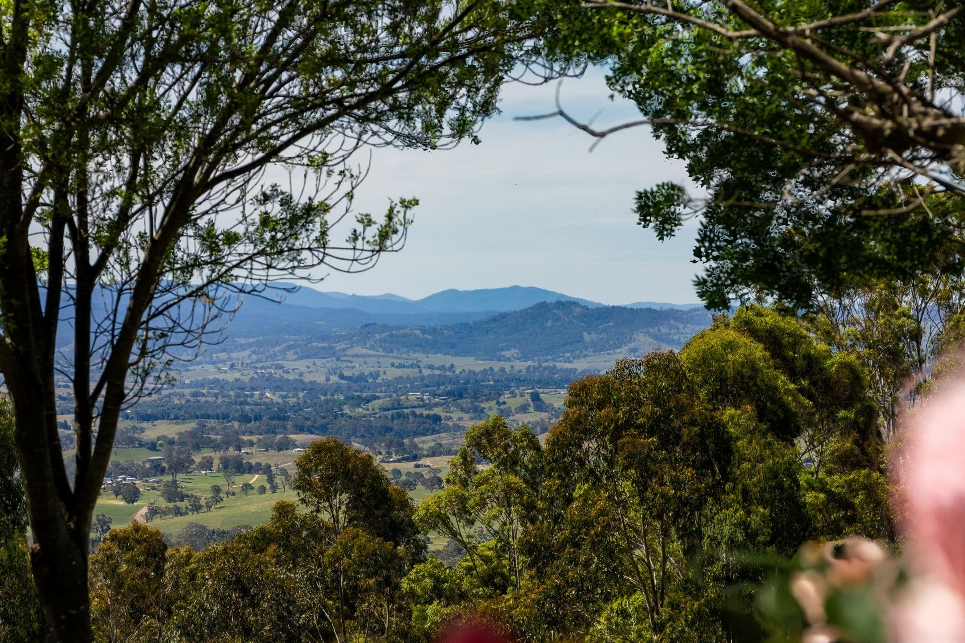 147 Radium Ridge Road Myrtle Mountain NSW, Myrtle Mountain - Thumbnail 2