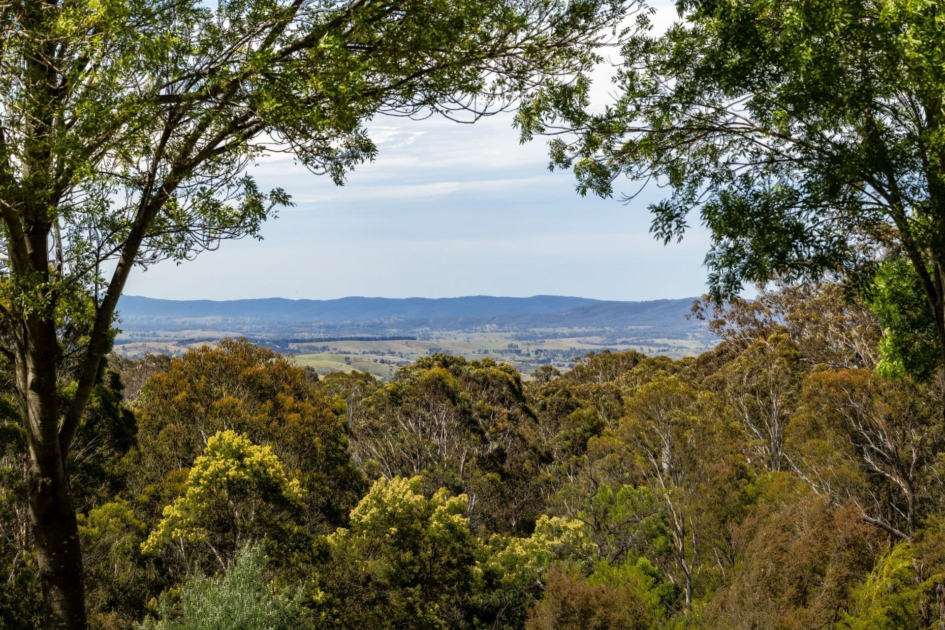 147 Radium Ridge Road Myrtle Mountain NSW, Myrtle Mountain - Thumbnail 4