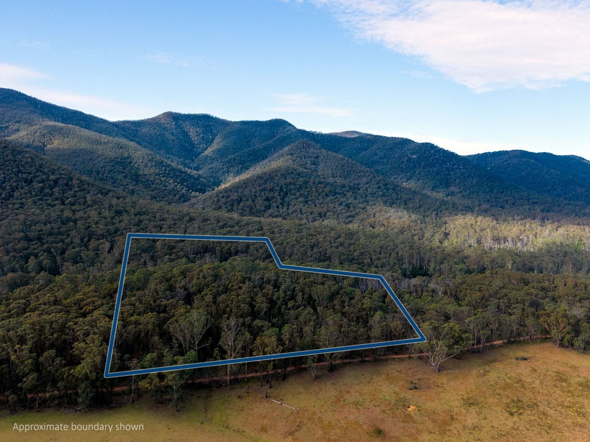 14 Yankees Gap Firetrail Bemboka NSW, 14 Yankees Gap Firetrail Bemboka - Thumbnail 3