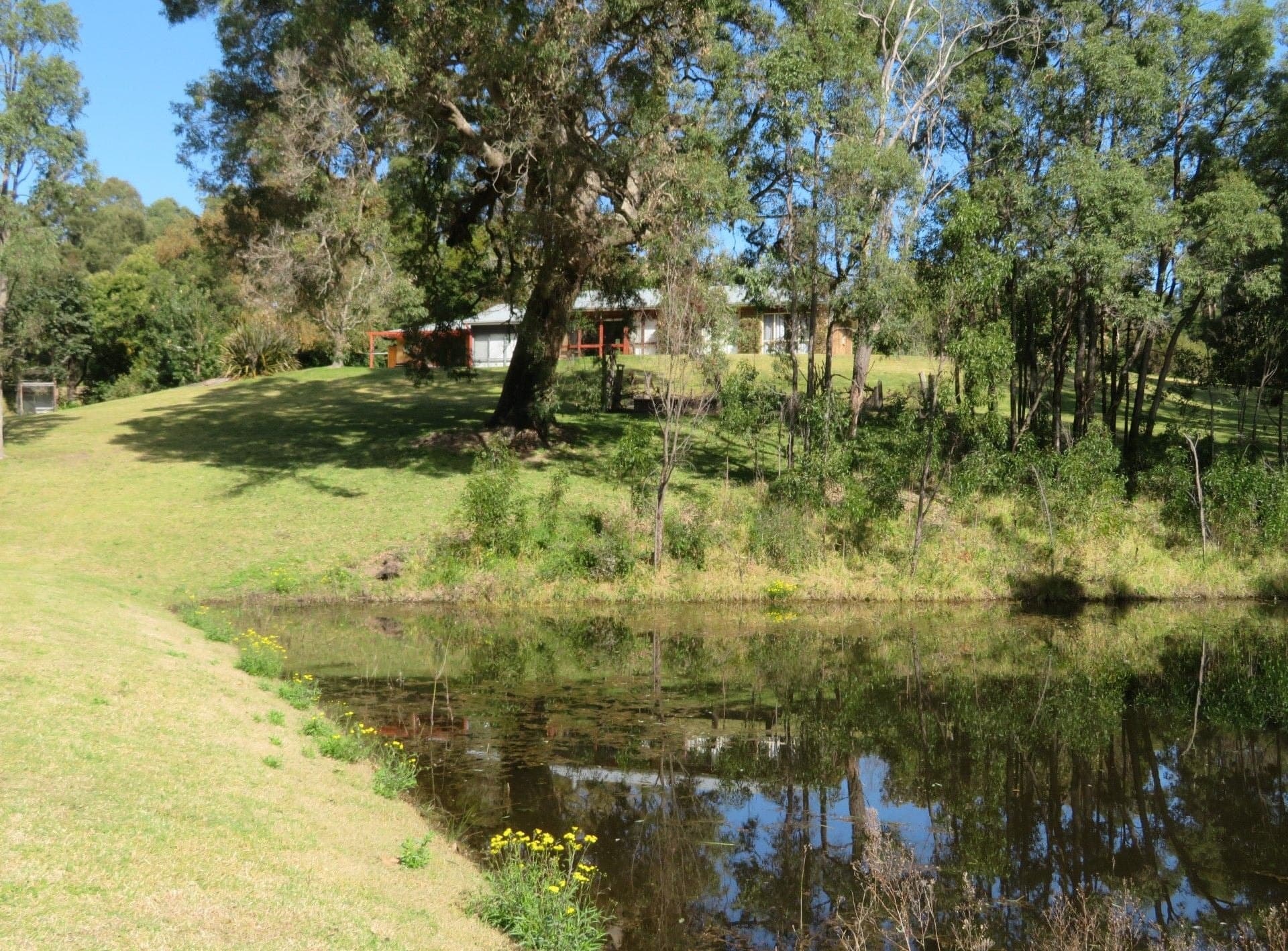 18 Pioneer Close Brogo NSW, Brogo - Thumbnail 5