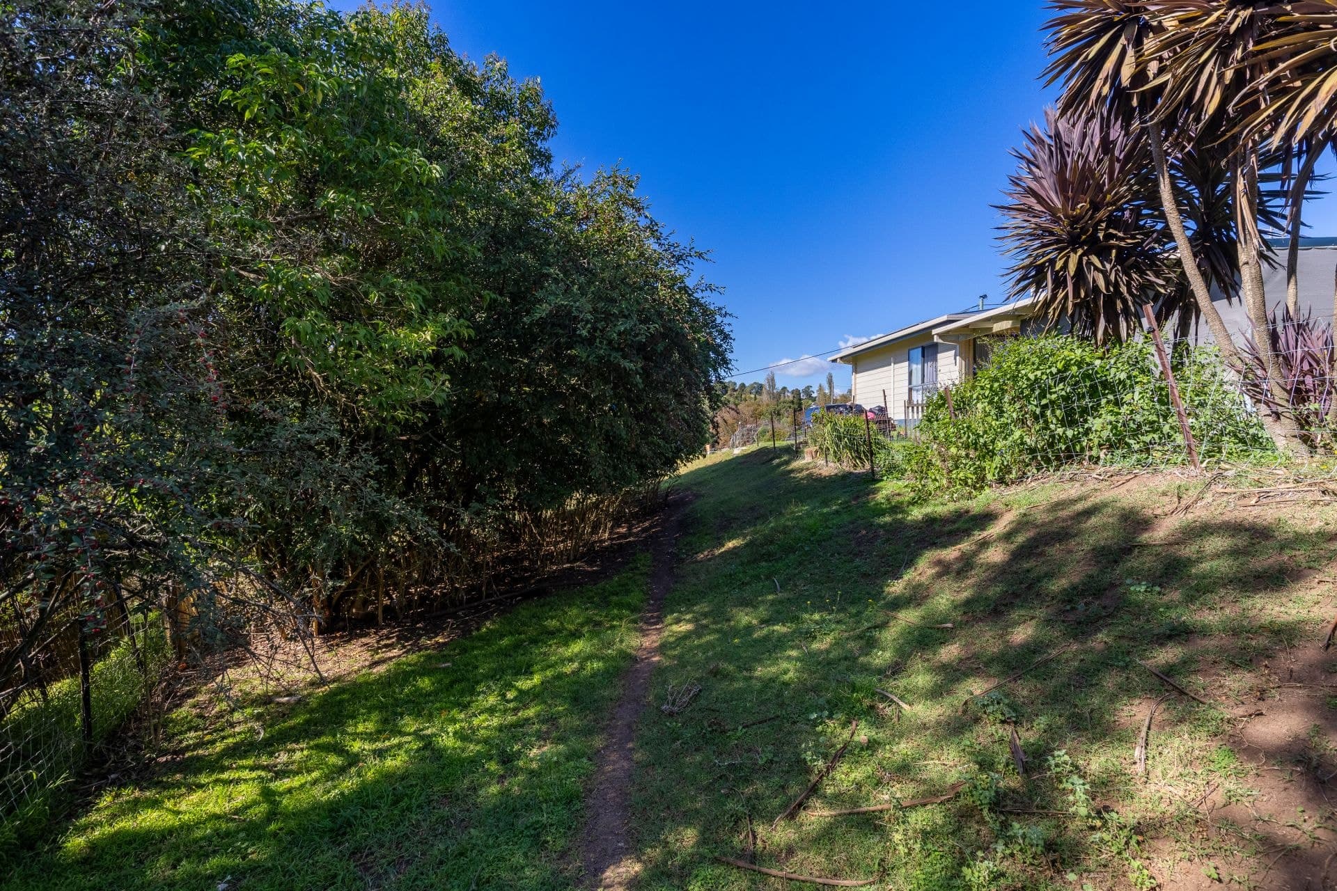 5 Candelo Street Candelo NSW, Candelo - Image 1
