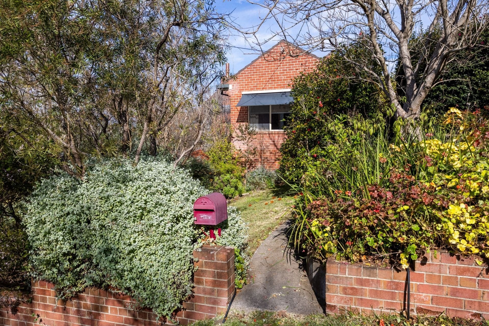 4 Belmore Street Bega NSW, Bega - Thumbnail 3