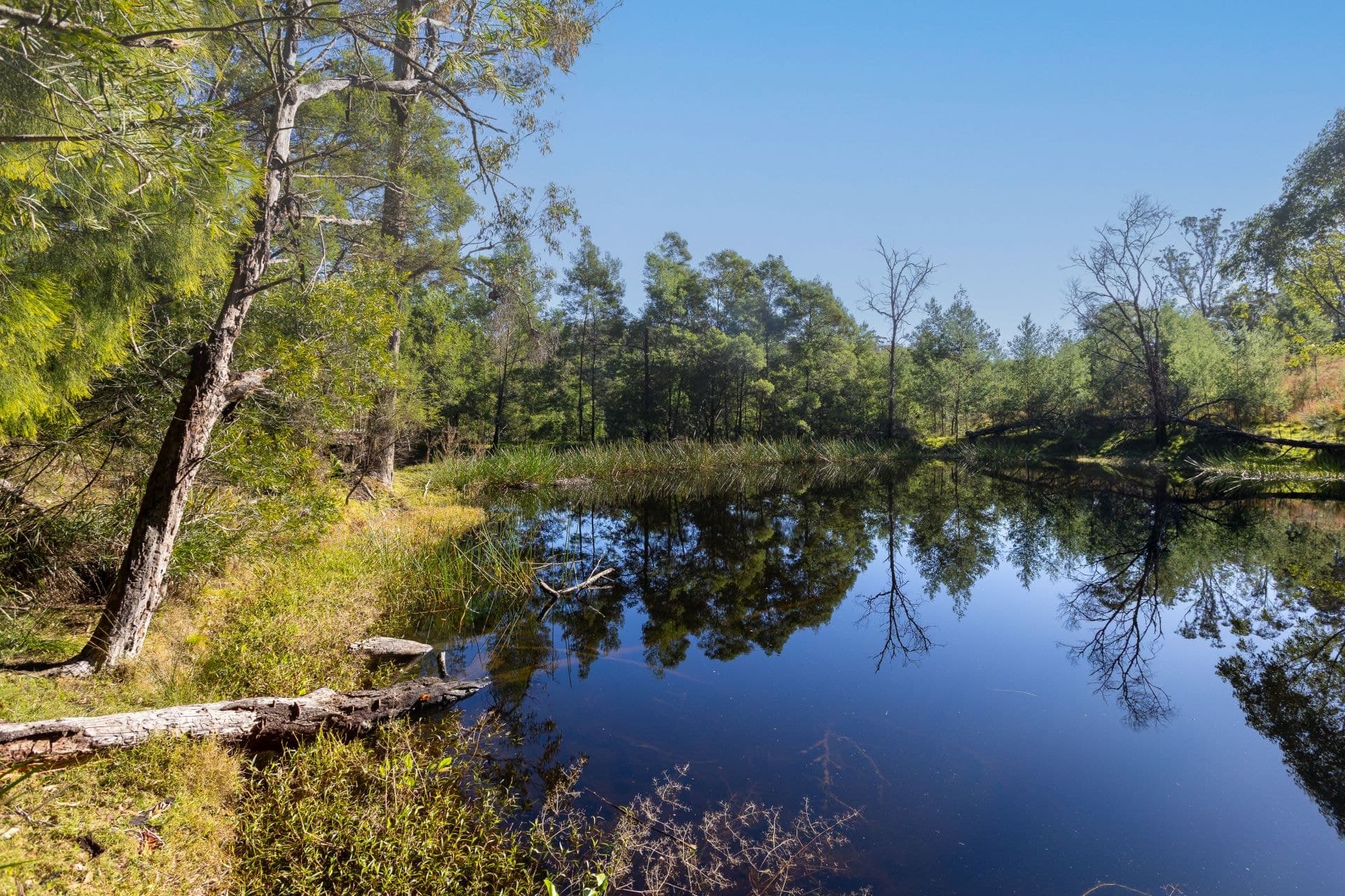 258 Westrops Road Coolagolite NSW, Coolagolite - Image 1