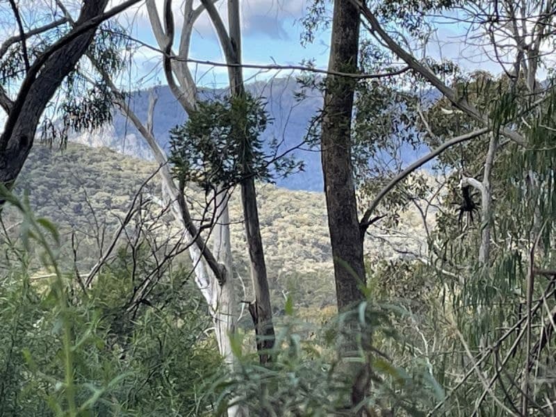 85/305 Big Jack Mountain Road Burragate NSW, Burragate - Thumbnail 4