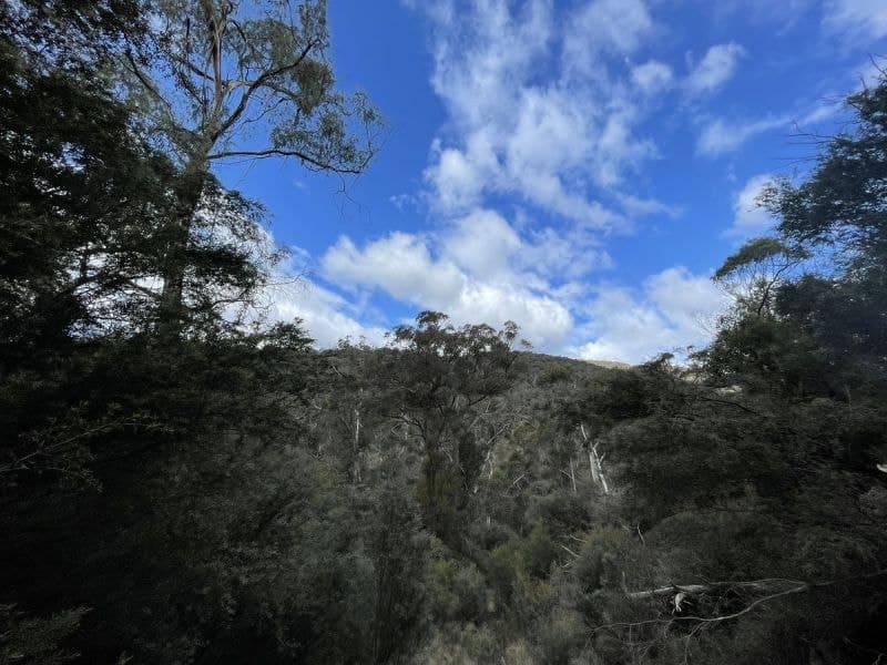 85/305 Big Jack Mountain Road Burragate NSW, Burragate - Thumbnail 8