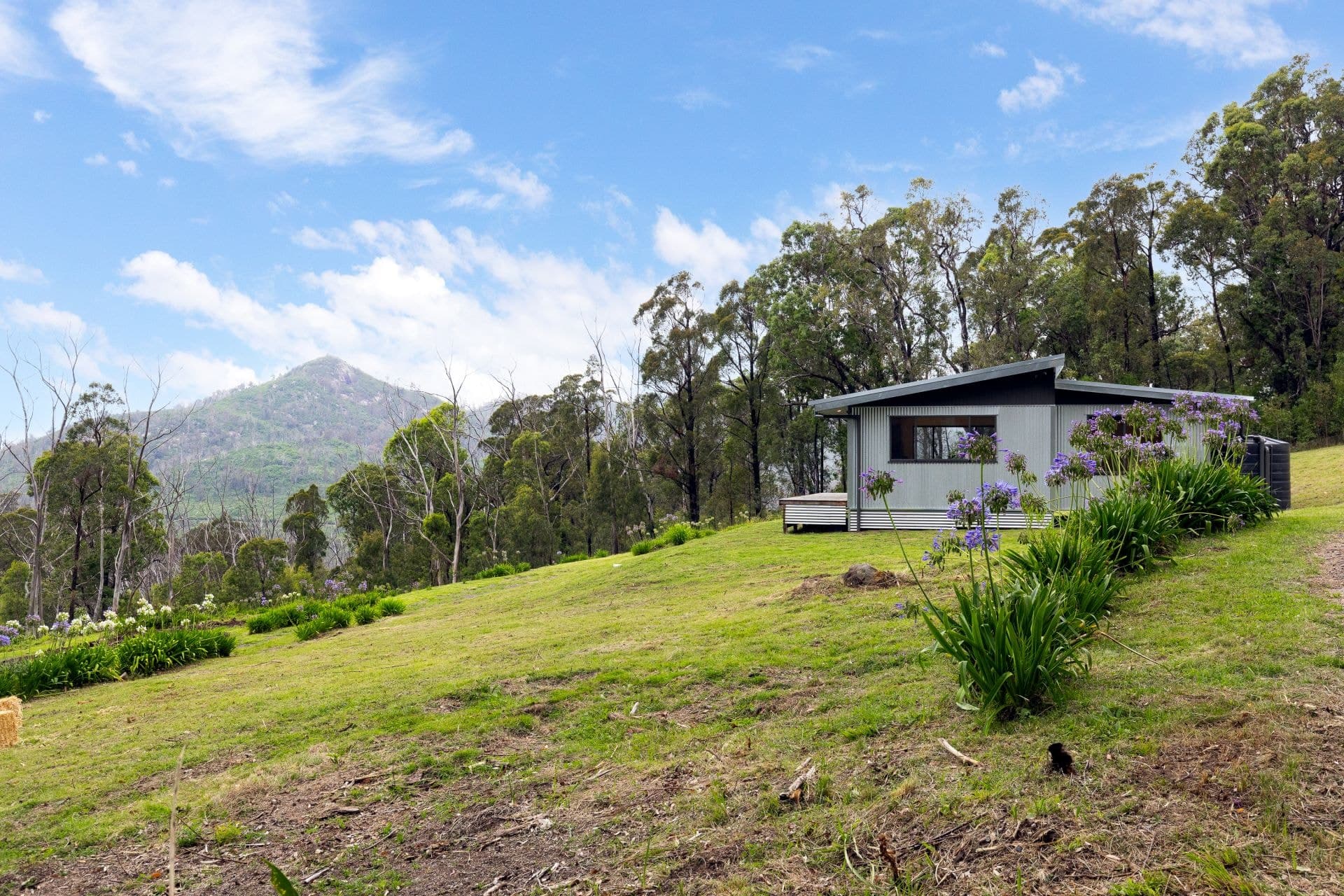 15 Murrabrine Forest Road Yowrie NSW, Yowrie - Image 1