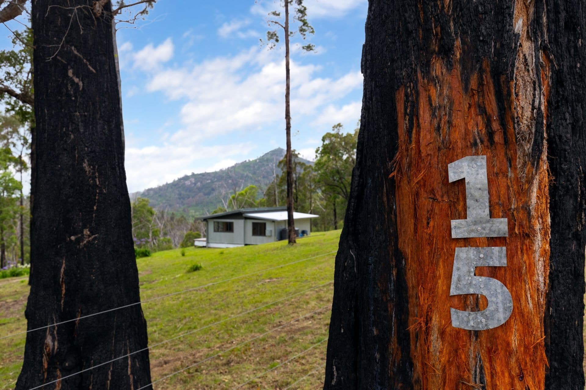 15 Murrabrine Forest Road Yowrie NSW, Yowrie - Thumbnail 2