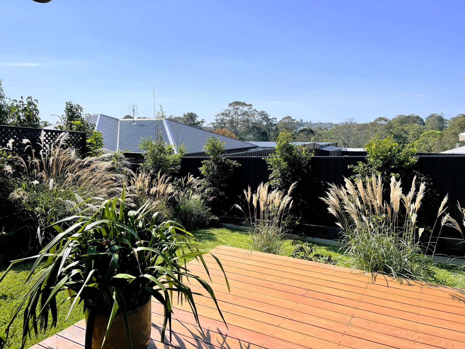 26 Songlark Street Bermagui NSW, Bermagui - Thumbnail 5