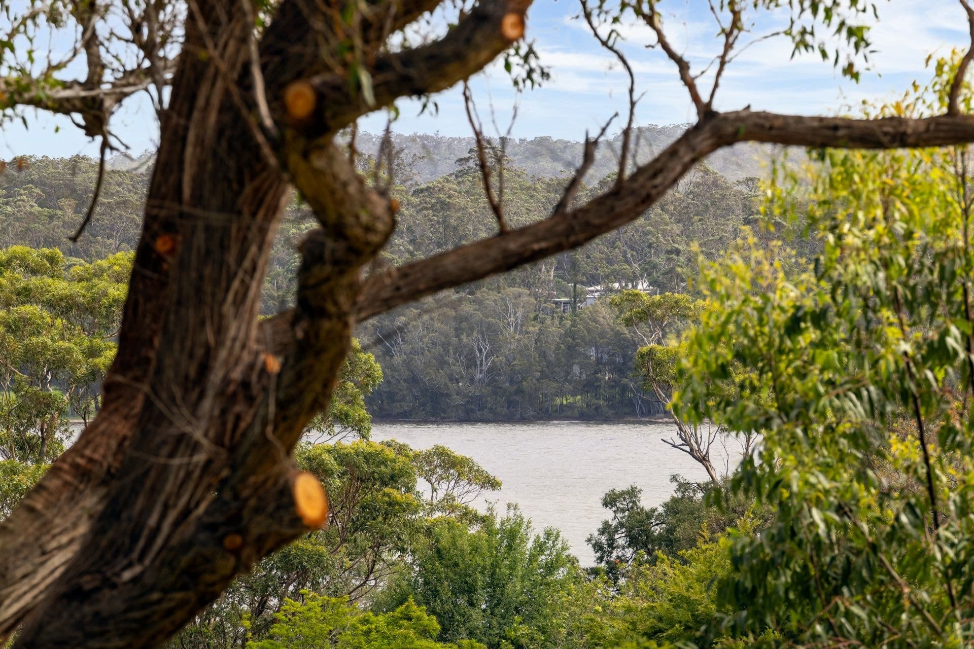 23 Beauty Point Road Wallaga Lake NSW, Wallaga Lake - Thumbnail 8
