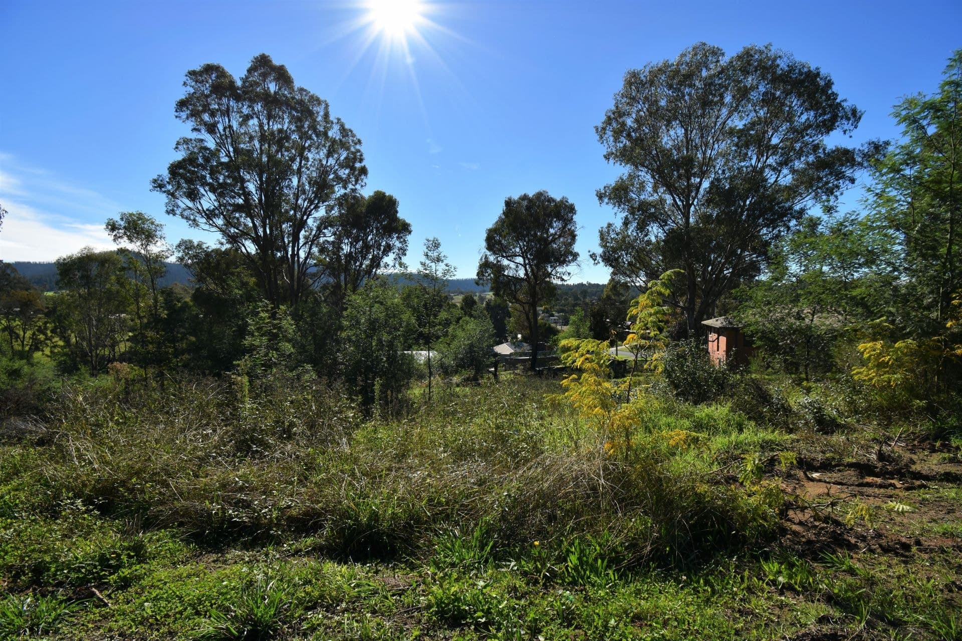 6 Gillespie Street Cobargo NSW, Cobargo - Thumbnail 2