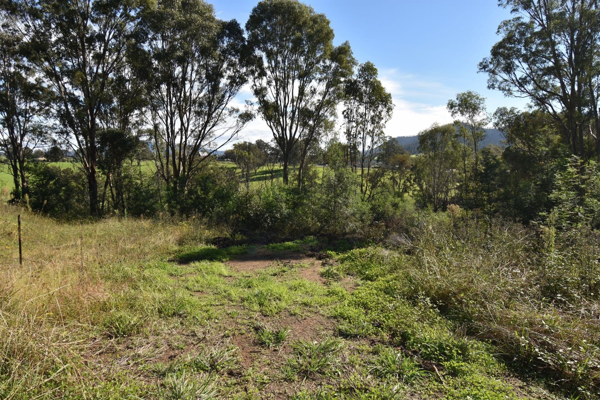6 Gillespie Street Cobargo NSW, Cobargo - Thumbnail 6