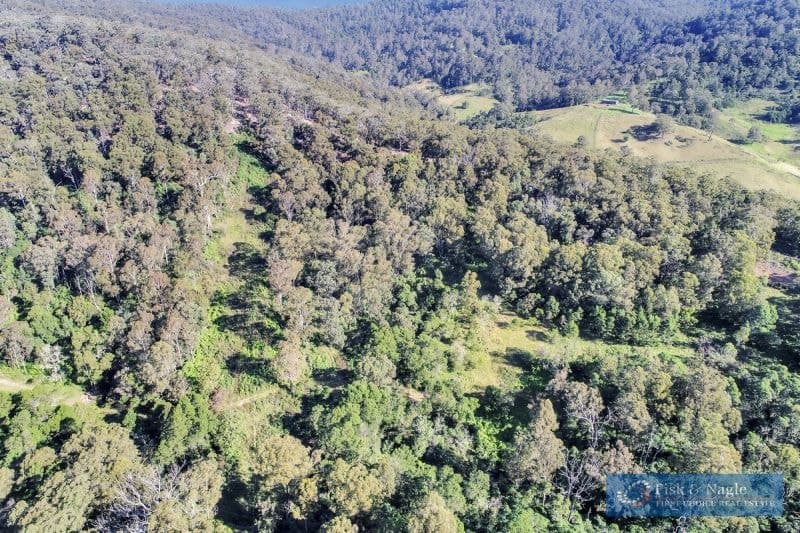 196 Sth Wolumla Road South Wolumla NSW, South Wolumla - Image 1