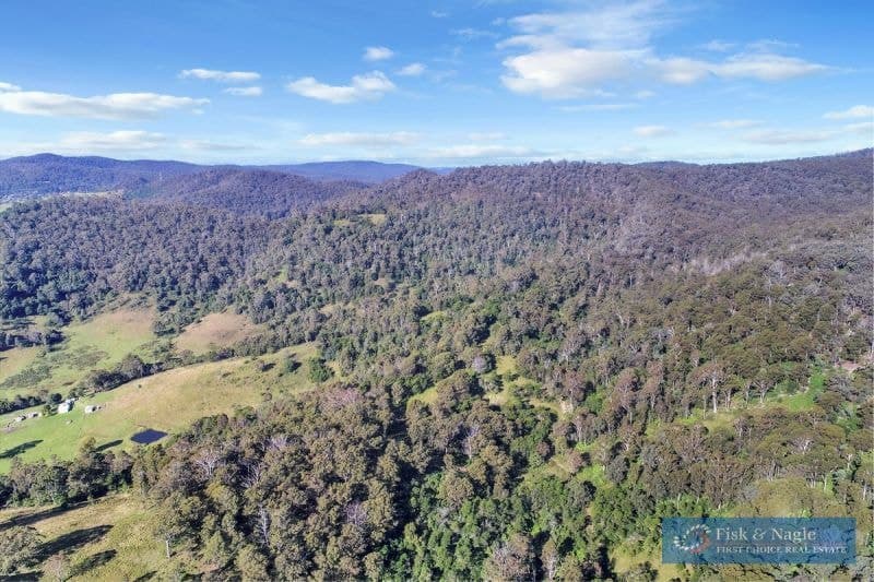 196 Sth Wolumla Road South Wolumla NSW, South Wolumla - Thumbnail 2