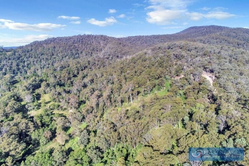 196 Sth Wolumla Road South Wolumla NSW, South Wolumla - Thumbnail 3