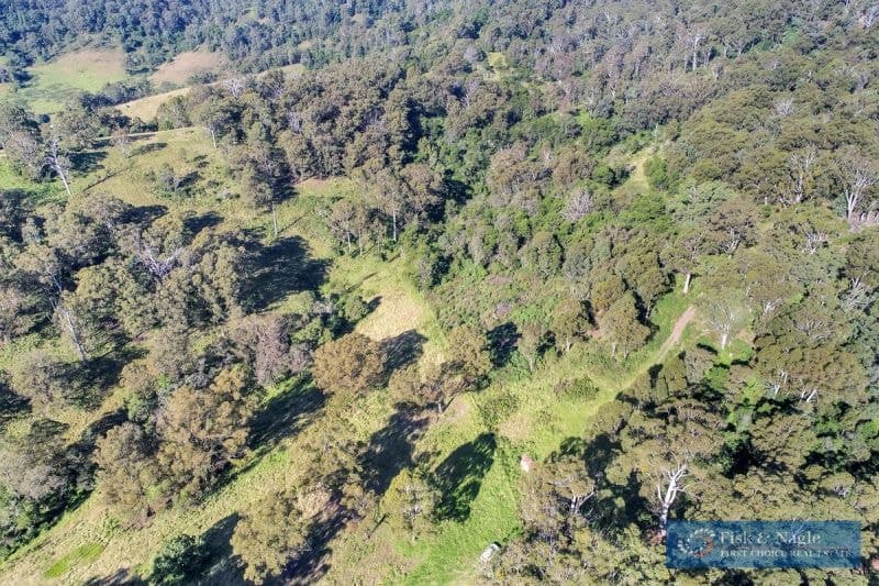 196 Sth Wolumla Road South Wolumla NSW, South Wolumla - Thumbnail 8
