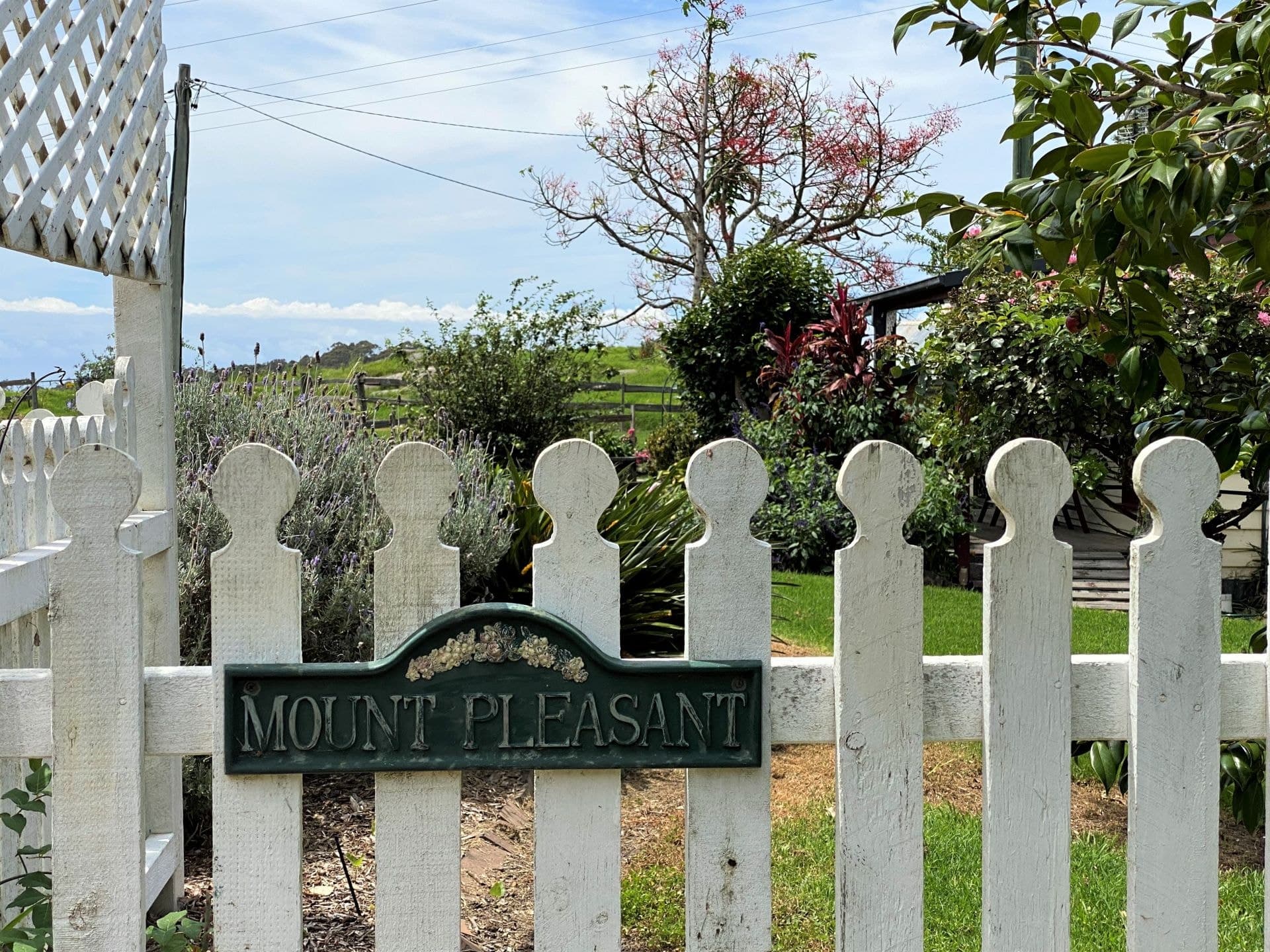 46 Punkalla Road Central Tilba NSW, Central Tilba - Thumbnail 2
