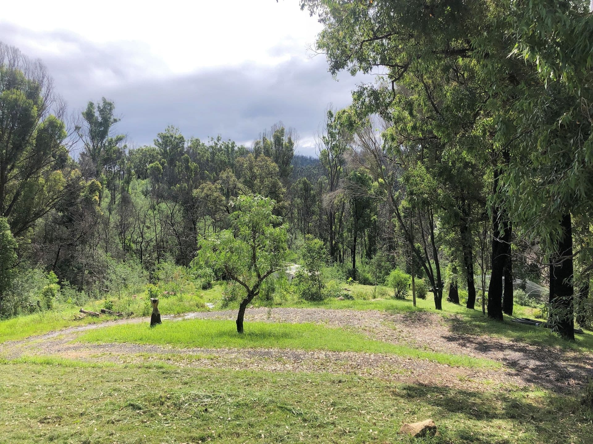 624 Yowrie Road Yowrie NSW, Yowrie - Image 1