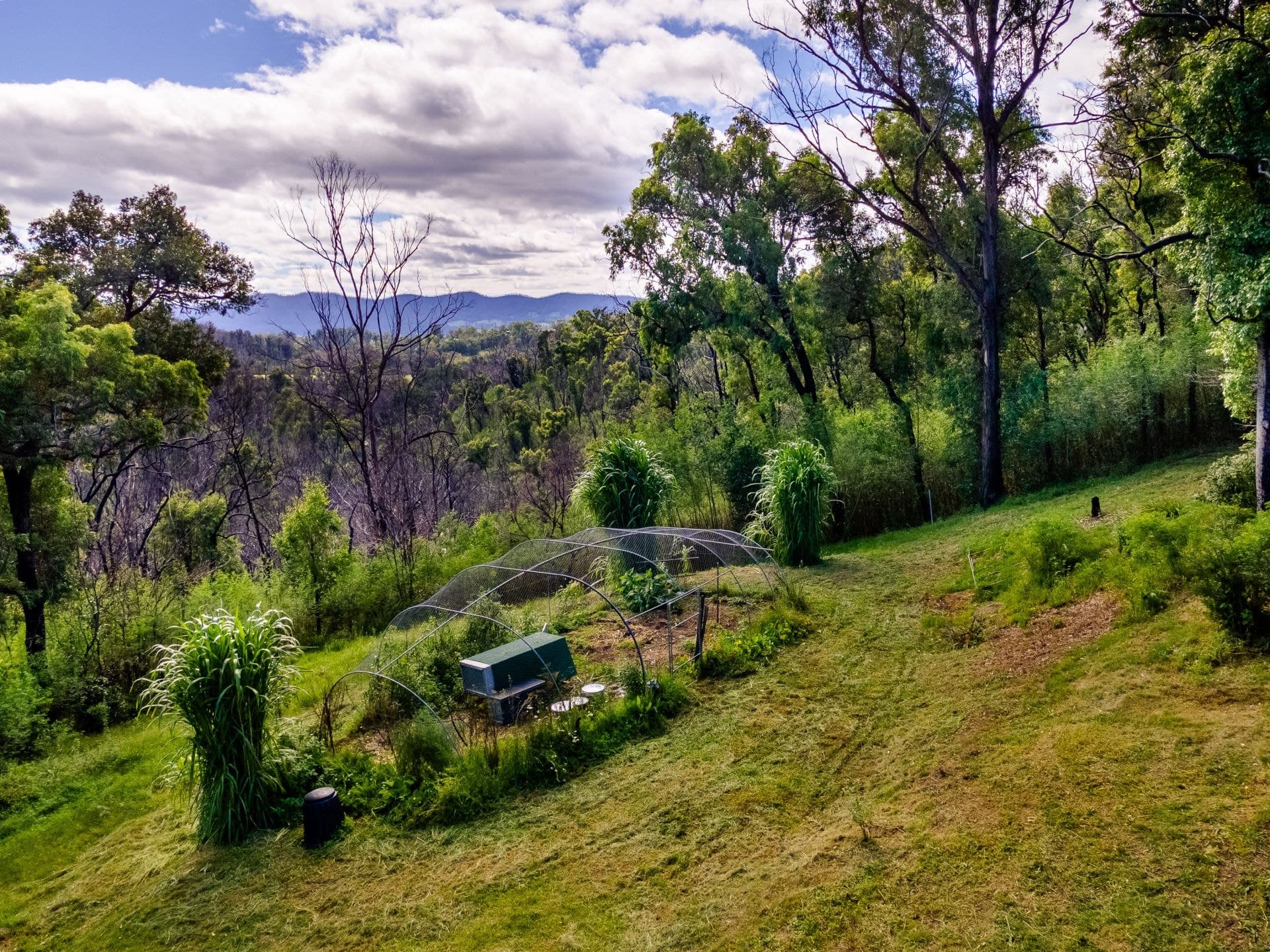 624 Yowrie Road Yowrie NSW, Yowrie - Thumbnail 8