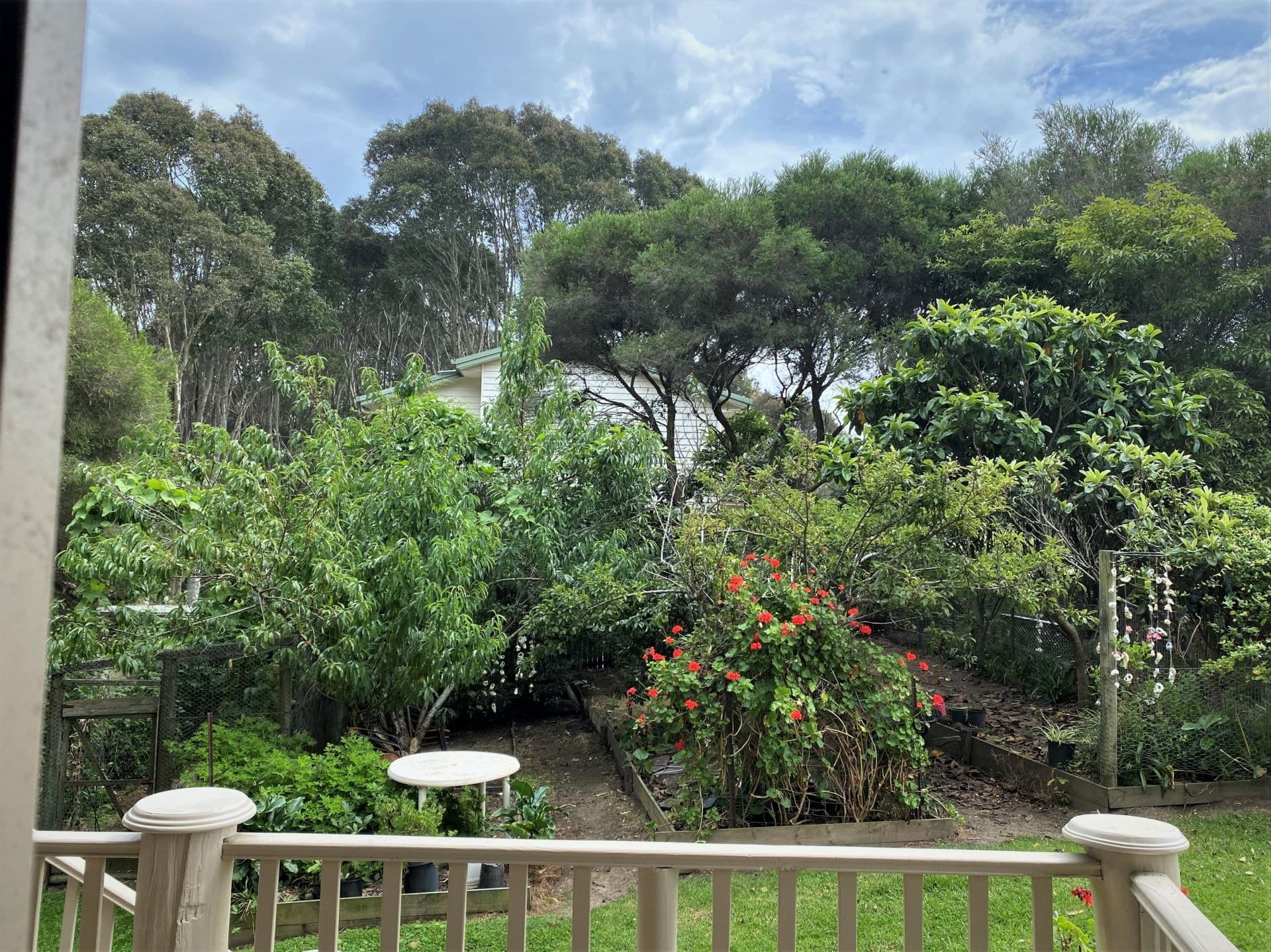 48 George Street Bermagui NSW, Bermagui - Thumbnail 2
