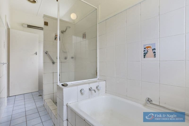 29 Philip Street, Wolumla, Wolumla - Thumbnail 8