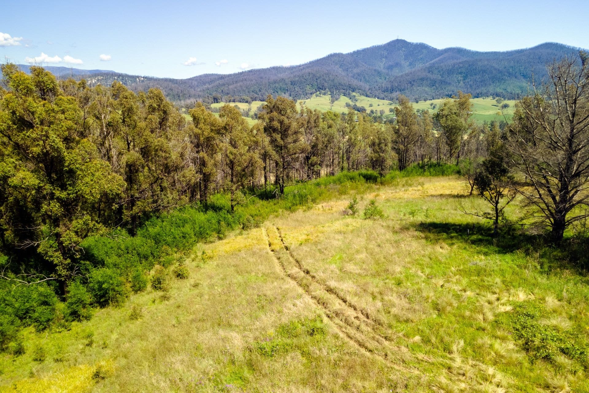 158 Link Road, Wandella, Wandella - Image 1