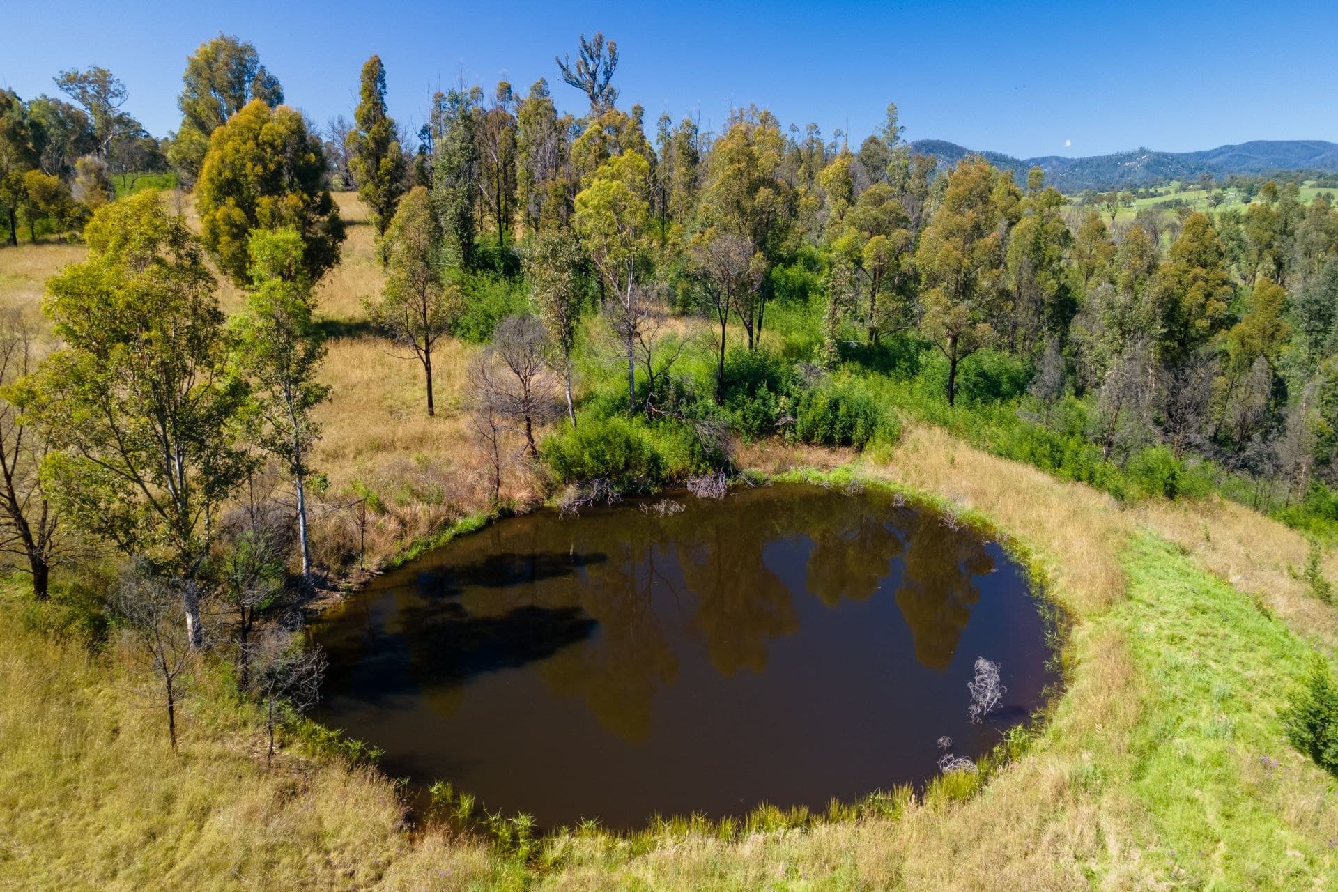 158 Link Road Wandella NSW, Wandella - Thumbnail 7