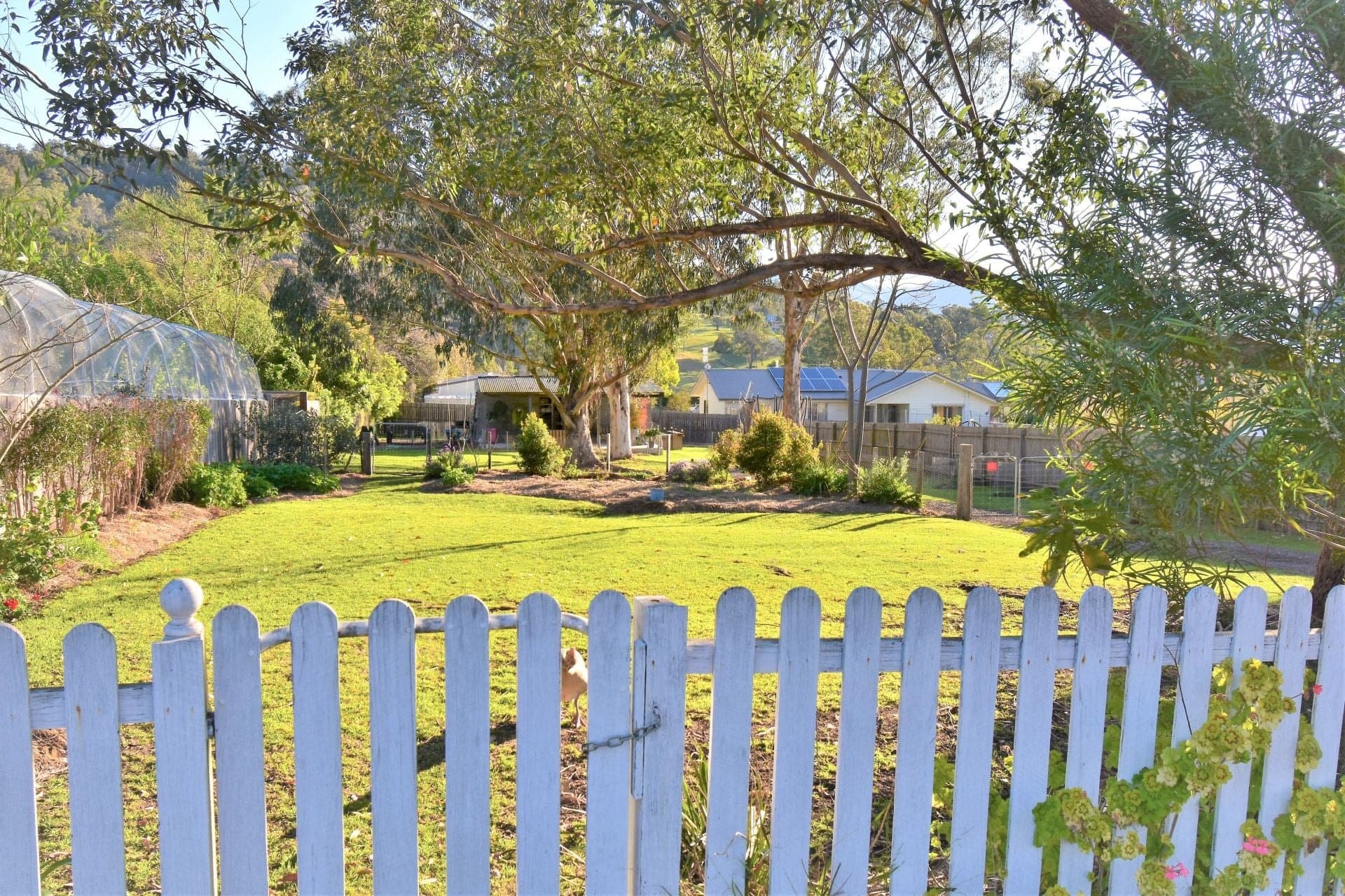 37 Bermagui Road Cobargo NSW, Cobargo - Thumbnail 3