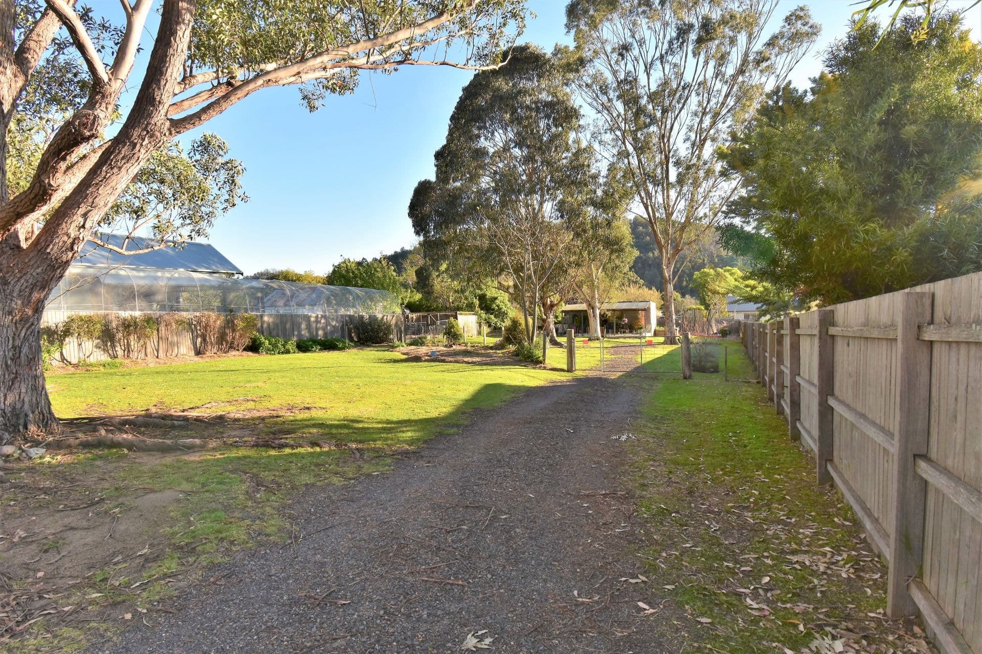 37 Bermagui Road Cobargo NSW, Cobargo - Thumbnail 5