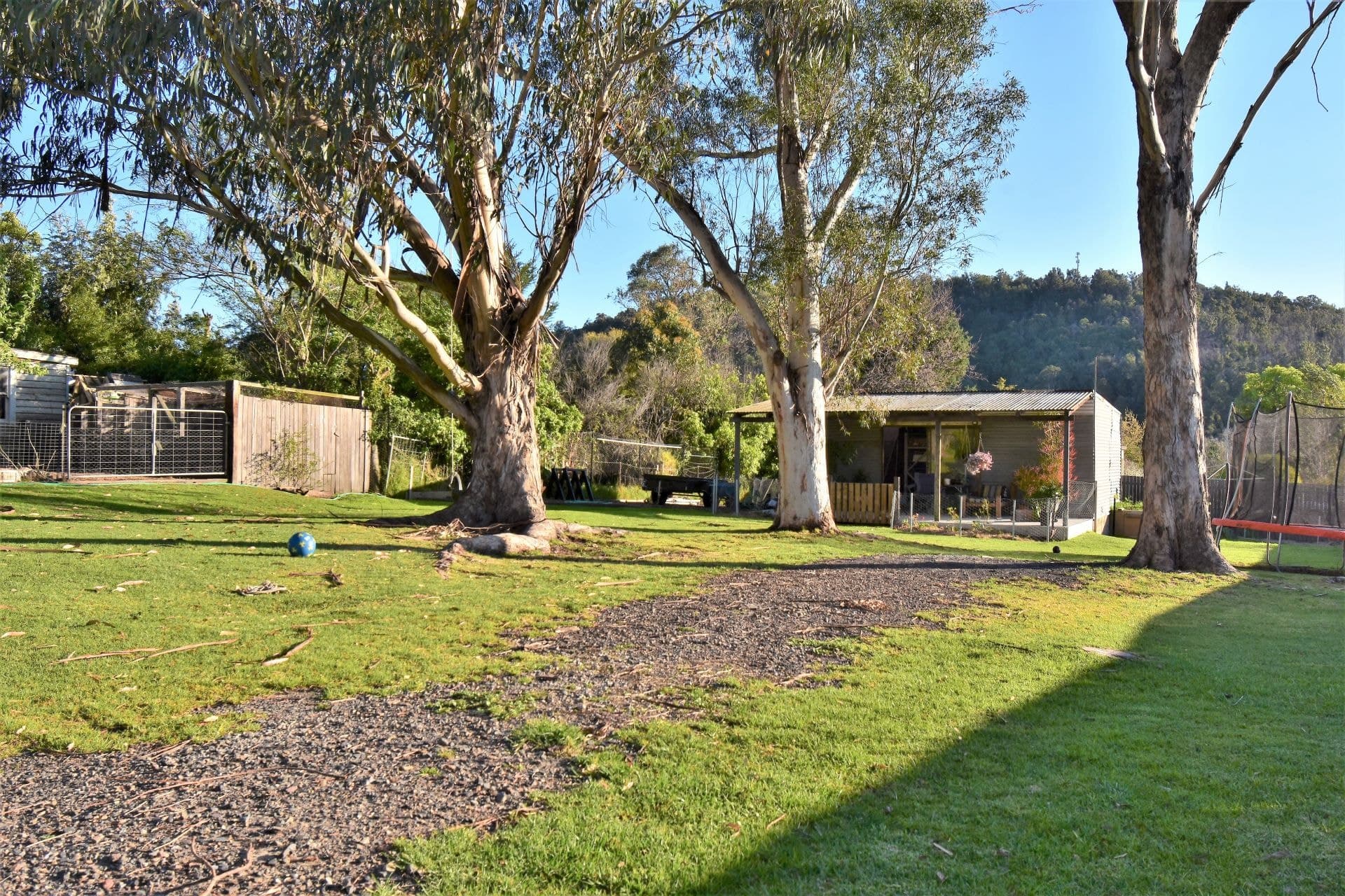 37 Bermagui Road Cobargo NSW, Cobargo - Thumbnail 6