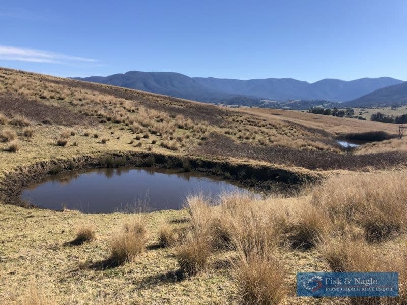 68 Barretts Road Bemboka NSW, Bemboka - Thumbnail 6
