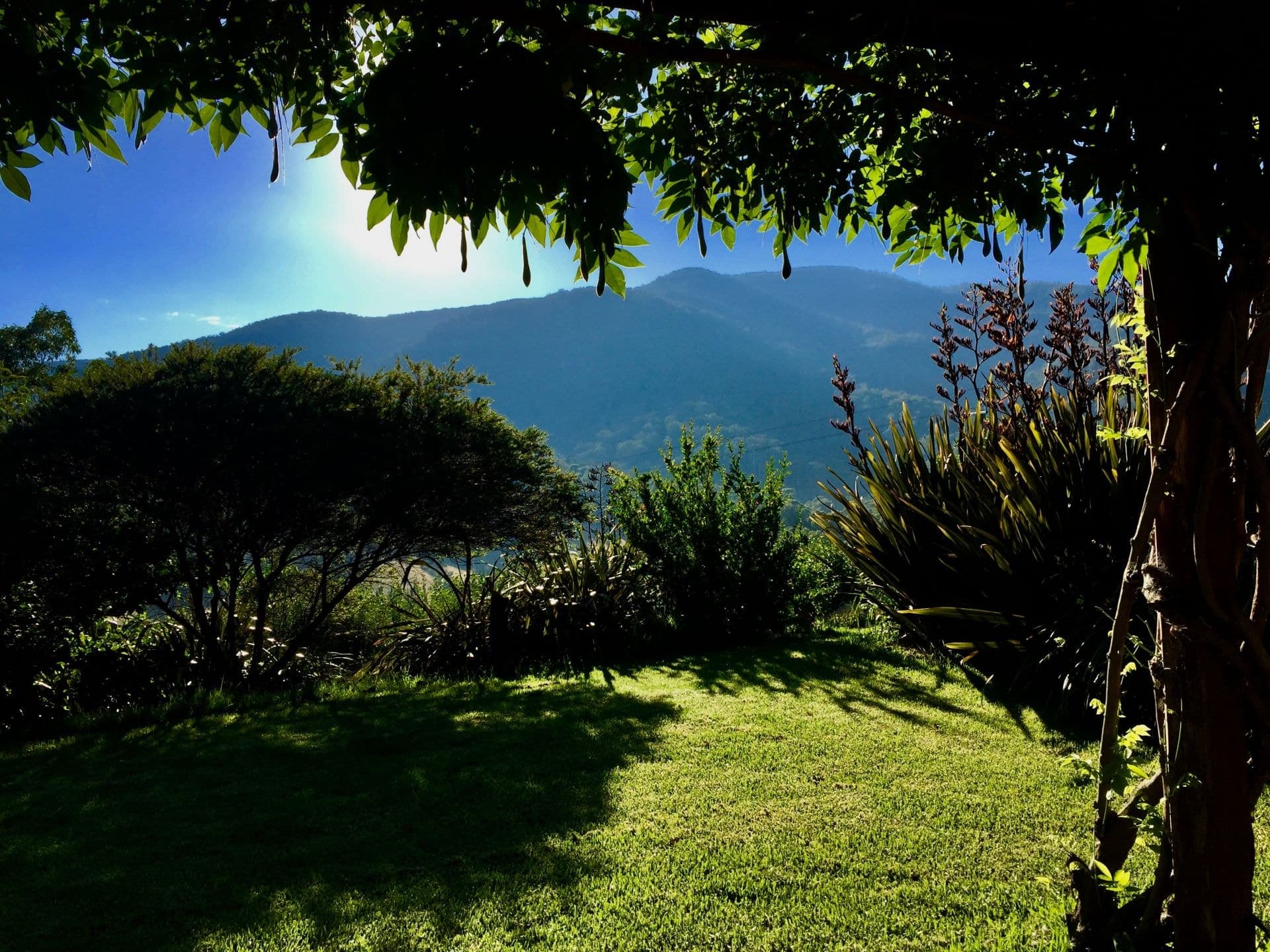 12563 Princes Highway Brogo NSW, Brogo - Thumbnail 2