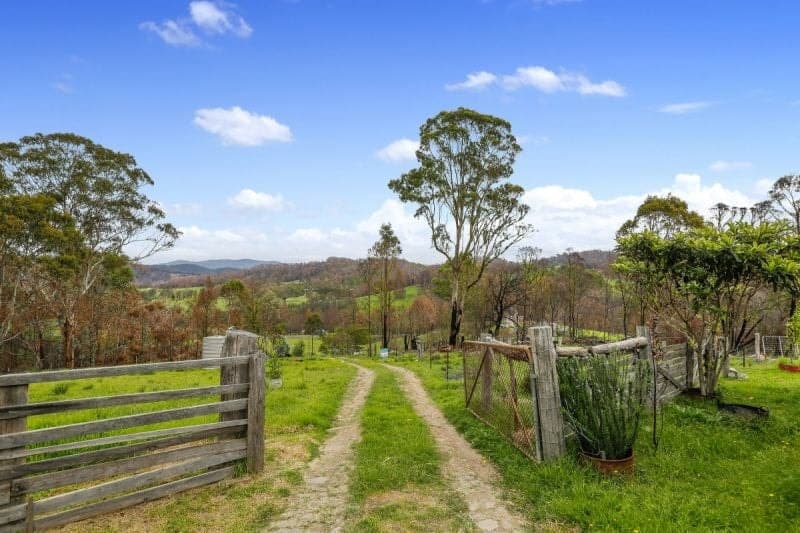 2858 Mt Darragh Road Wyndham NSW, Wyndham - Thumbnail 3