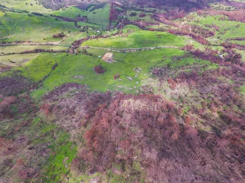 2858 Mt Darragh Road Wyndham NSW, Wyndham - Thumbnail 6