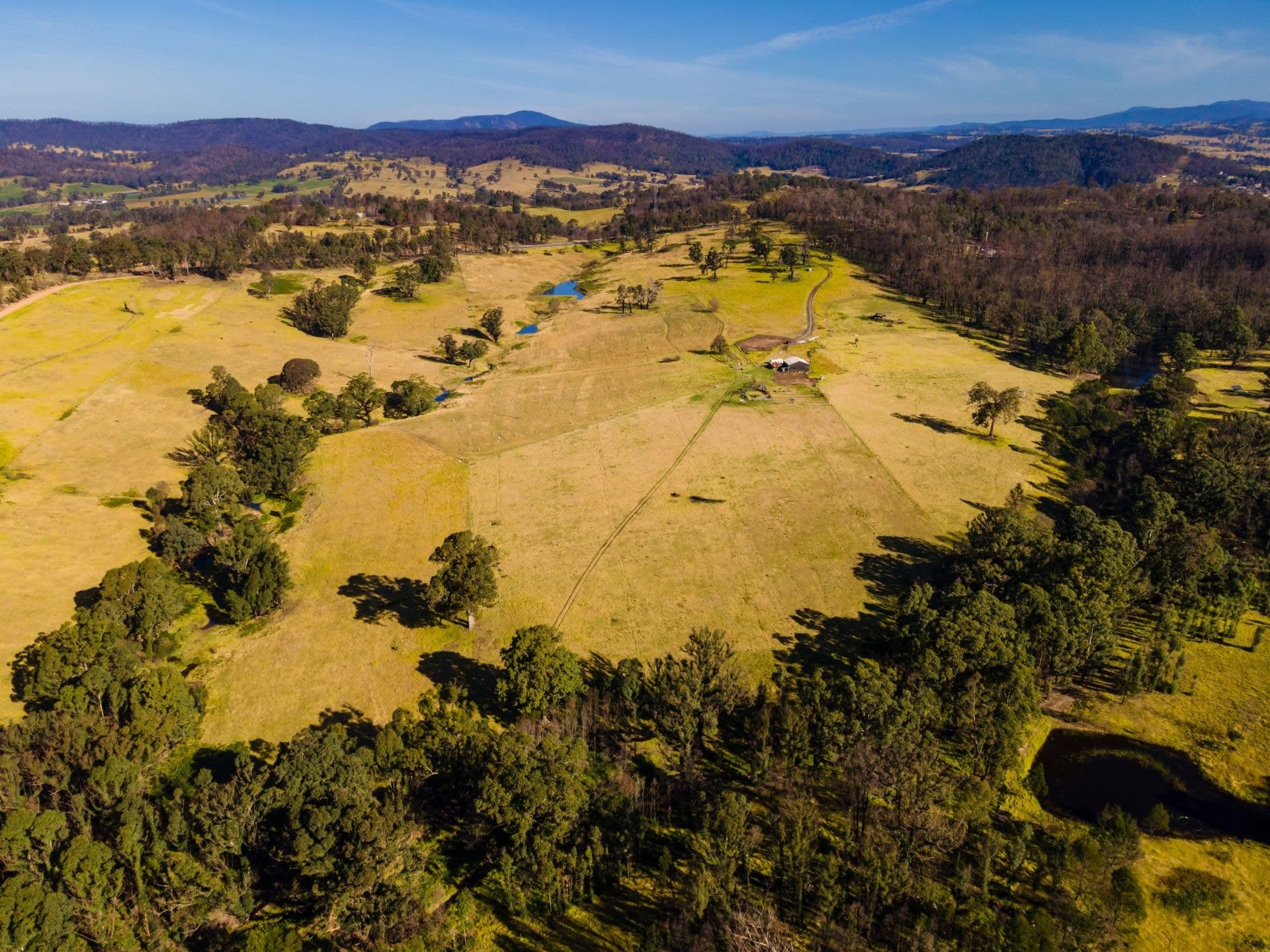 10440 Princes Highway Cobargo NSW, Cobargo - Thumbnail 2