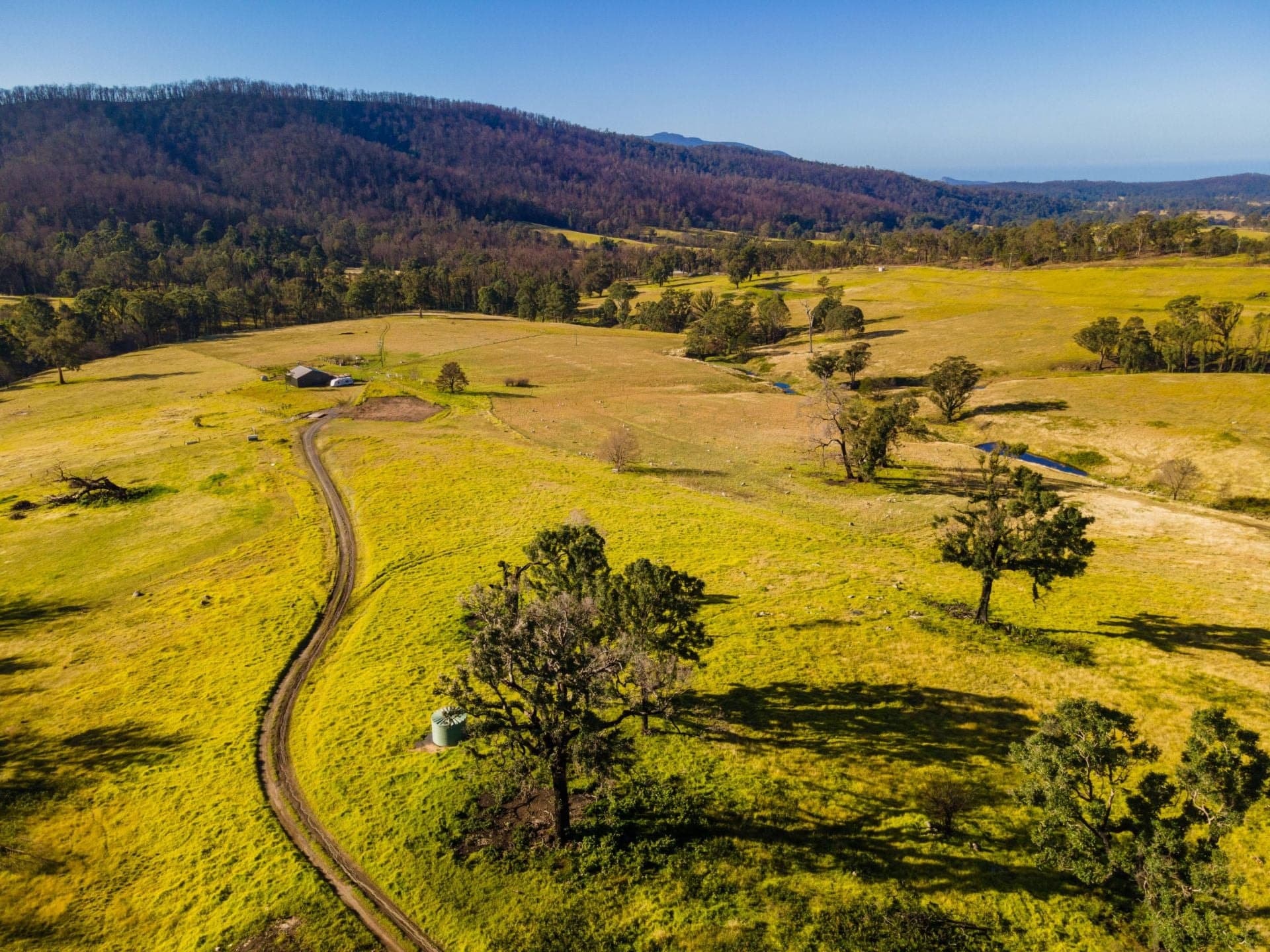 10440 Princes Highway Cobargo NSW, Cobargo - Thumbnail 3
